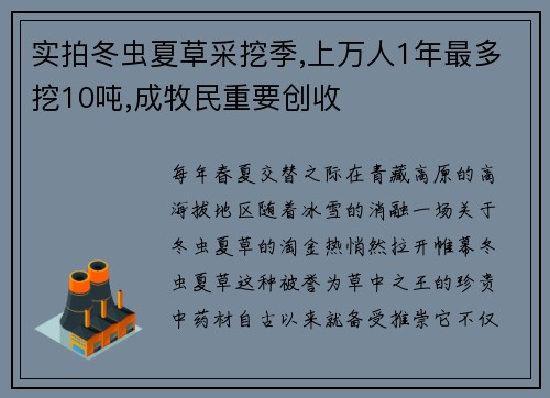 实拍冬虫夏草采挖季,上万人1年最多挖10吨,成牧民重要创收