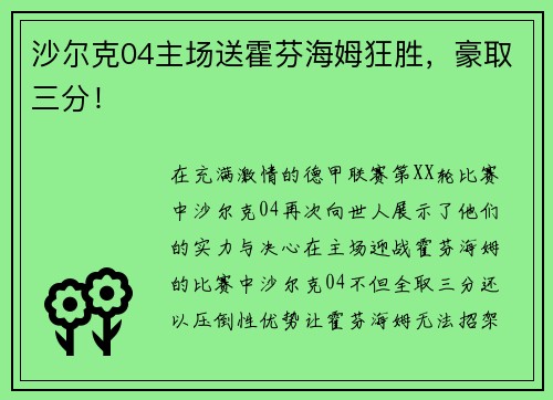 沙尔克04主场送霍芬海姆狂胜，豪取三分！